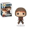 Funko Funko Items Harry Potter - Ron Weasley (on Broom) Pop! Vinyl Figure