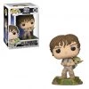 Funko Star Wars - Empire Strikes Back 40th Luke Skywalker & Yoda Pop! Vinyl Figure