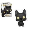 Funko Harry Potter - Sirius Black (As Dog) Pop! Vinyl Figure Funko Items